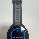 165 | 가민 포러너 165 실사용 후기: 애플워치 배터리 지쳐서 갈아탐(249,000원 구매)