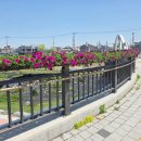 읍시가지 이미지