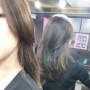 안스헤어샵 - 청도군 금천로 48 | 안스헤어샵