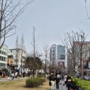 고기좋은날 | [맛집] 연남동고기집 꿀돼지집 후기 / 날씨 좋은날 가기 좋은 홍대입구역 냉삼 맛집