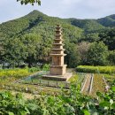상오리 칠층석탑 | 상주 상오리 칠층석탑, 이상향 우복동에 깃든 고려 석탑의 역사적 명암