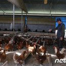 계용 축산 이미지