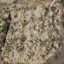 희정이네농장 이미지