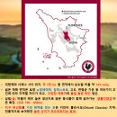 와이너리투어 1탄 끼안티 클라시코 리카솔리 카스텔로 디 브롤리오 캐슬 투어 런치 와인테이스팅 후기