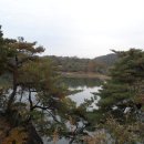 비소담