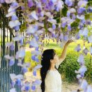 강나루 오토캠핑장 이미지