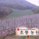 초롱농원