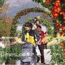 섬꽃공원 이미지