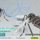 서울양행 - 진천군 남산4길 27 | 서울양행