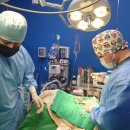 24시 아프리카동물병원 이미지