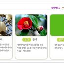 용방초등학교 이미지