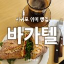 바가텔 | 제주빵지순례 필수코스 서귀포 빵집 제주 '바가텔' 내돈내산 후기