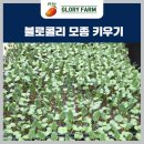 글로리팜 이미지