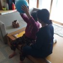 김제시 보건소 엔디엔뉴스
