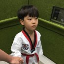 MTA 위브태권도 이미지