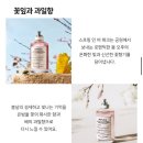 메종마르지엘라 봄 향수 추천 스프링타임 인 어 파크 EDT 100ml 내돈내산 후기(추천은 글쎄)