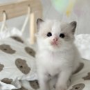 별님과바다 이미지