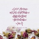 김준완농장 | 일상