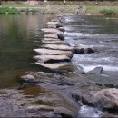 징검다리 이미지