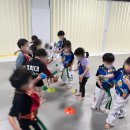 경희대 최강 태권도 이미지