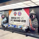 돌골 새마을교 | 8월의 제주 ⚽ - 아우디풋볼써밋2026 바이에른 뮌헨 내한 경기 후기(마누랑 손잡은 썰 풀어요🐐❤)