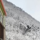 월악산 꽃피는 산골 이미지