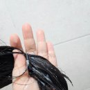 숲속향기 | 갈라진 모발 홈케어, 숲속향기가 좋은 시티르 헤어팩 헤어트리트먼트 실사용후기