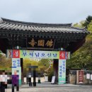 뚜벅이 4월 경주 여행 2박 3일