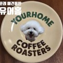홈커피 | 문래 애견동반 카페 유어홈 커피로스터스, 꼬미와 다녀온 솔직후기