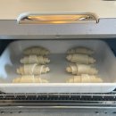 스테이 오힐 이미지