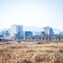 영강체육공원길 이미지