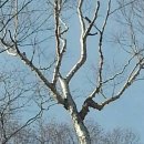 자작농장 이미지