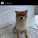 퍼밀리 이미지