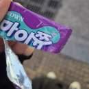 개좌로 | 극동아시아타이거즈 지역투어 - 호랑이 흔적을 찾아서_부산 후기&amp;셋리스트