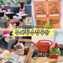 씨유(CU) 파주헤이리점 | 파주 헤이리 소품샵 무계획수집공간 반려식물 구경