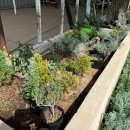 J(제이)농장 이미지