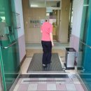 제주동초등학교 이미지