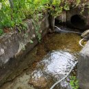 아젤리아 펜션 이미지