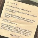 니랑나랑 | [꿀템] 등산 필수템 ‘메이아라 여성등산양말 아리아 등산니삭스’ 실사용 후기