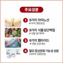 매직리페어