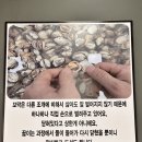 청심로 | 여주 짬뽕 맛집 &#39;짬뽕깡패 꼬짬 여주점&#39; 재방문 후기! 다시 찾게 되는 깊은 맛!
