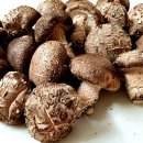 에스겔-푸름농장 이미지