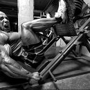 몬스터헬스 이미지