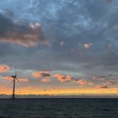 온종일바다 이미지