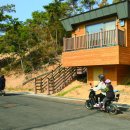 숲속의바다 숲속동 이미지