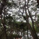 황토발짚신 네이버블로그