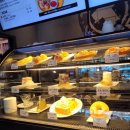 운교카페 이미지