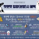 강아지분양미니몽