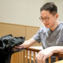 강동동물병원 이미지