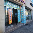 익산 고양이카페 아이캣유 이미지